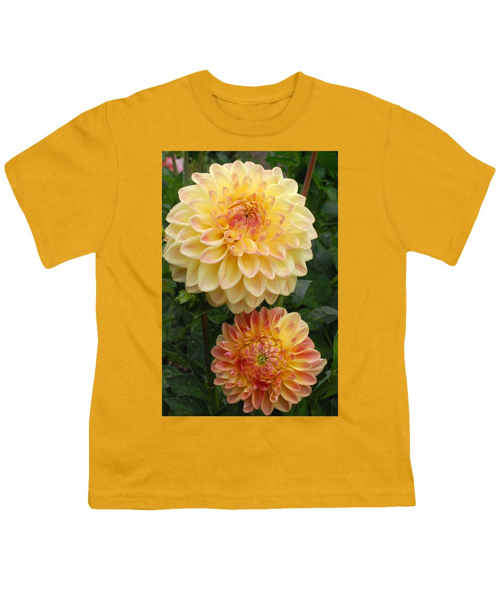 Dahlia Youth T-Shirt featuring the photograph Yellow and Orange Dahlias 2 by Amy Fose