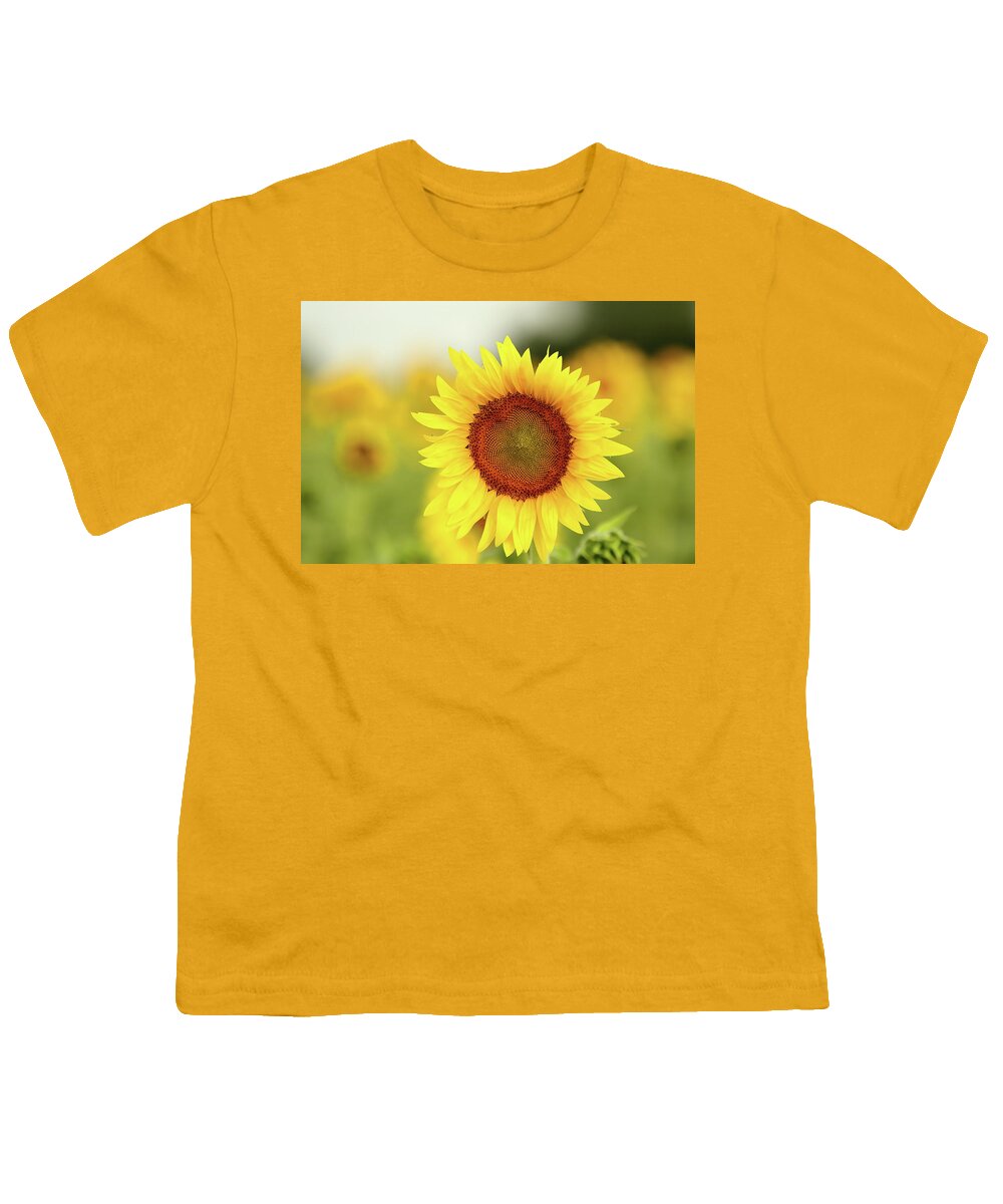 Sunflower Youth T-Shirt featuring the photograph Yooo Hooo by Lens Art Photography By Larry Trager