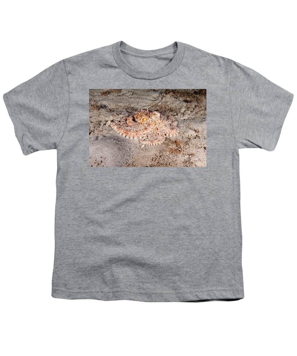 Common Octopus Youth T-Shirt featuring the photograph Common Octopus #1 by Andrew J. Martinez