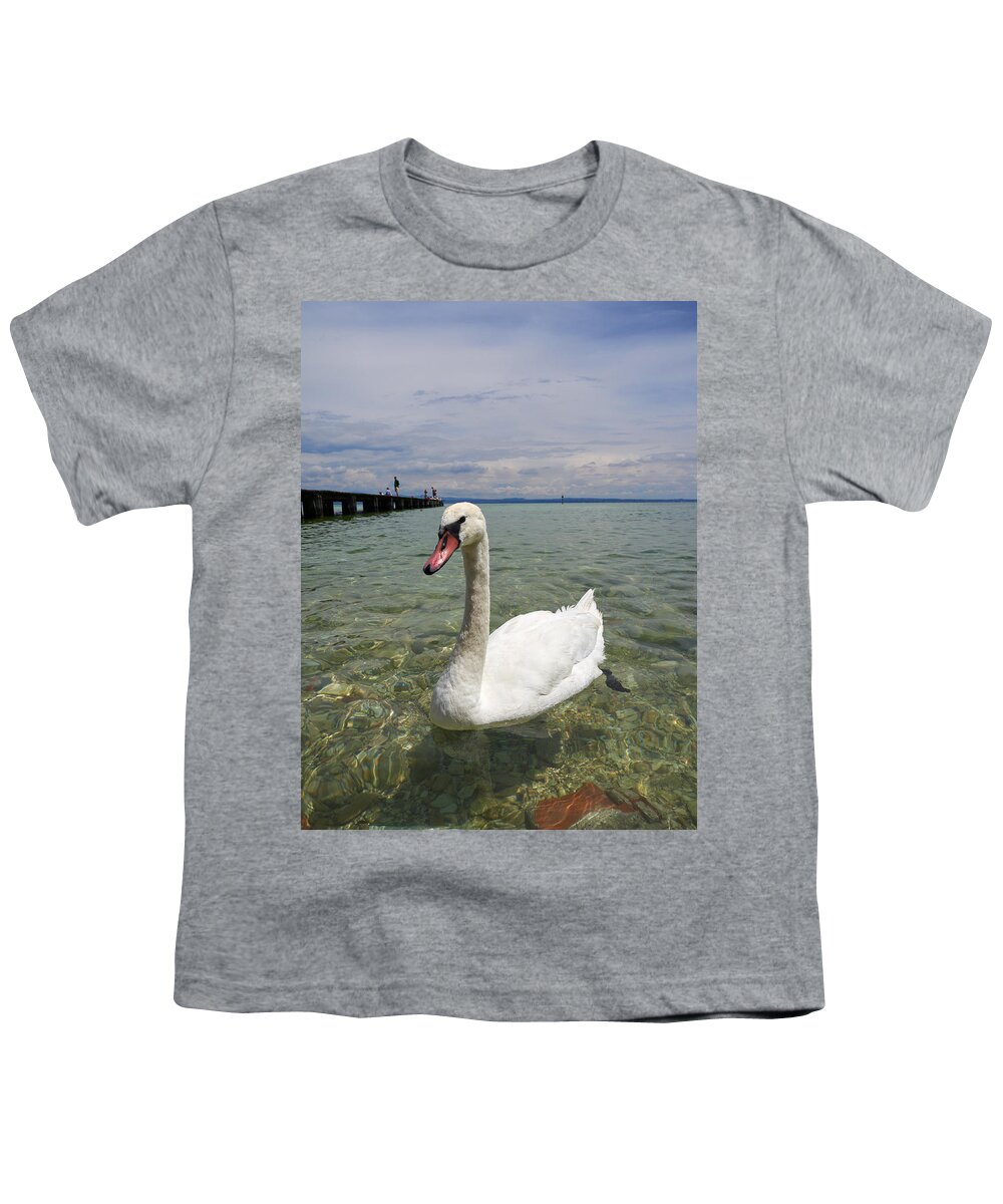 Cygnus Olor Youth T-Shirt featuring the photograph Mute swan. Sirmione. Lago di Garda #5 by Jouko Lehto