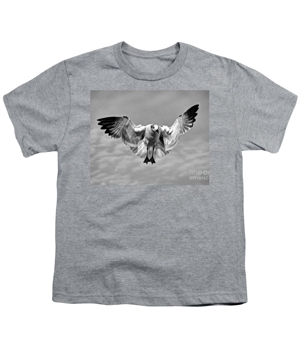 Flight Youth T-Shirt featuring the photograph Seagull #2 by Savannah Gibbs