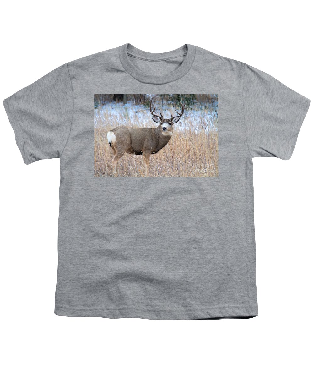 Large Deer Youth T-Shirt featuring the photograph Five by Five #2 by Jim Garrison