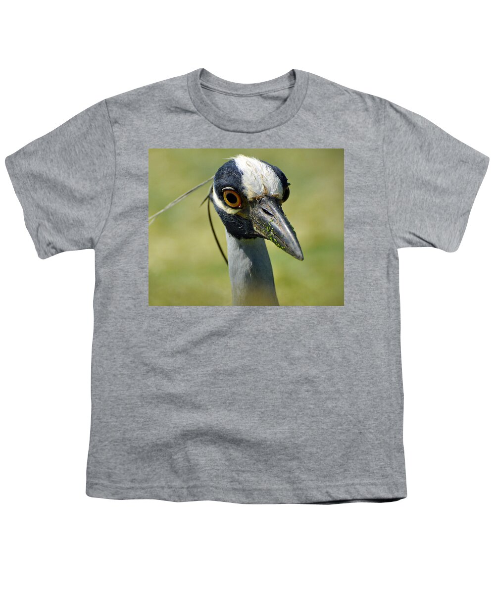 Yellow-crowned Night Heron Youth T-Shirt featuring the photograph Yellow-crowned Night Heron #9 by Savannah Gibbs