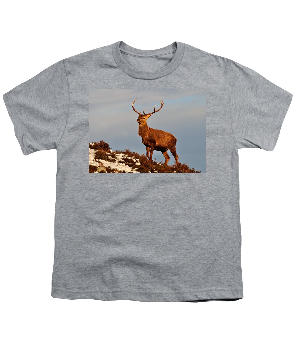  Red Deer Stag Youth T-Shirt featuring the photograph Red Deer Stag #8 by Gavin Macrae