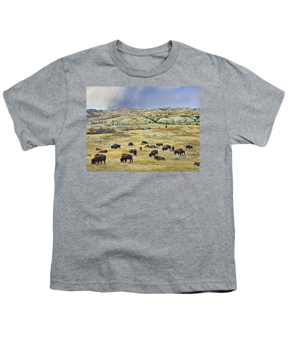 00176897 Youth T-Shirt featuring the photograph American Bison Herd Grazing by Tim Fitzharris