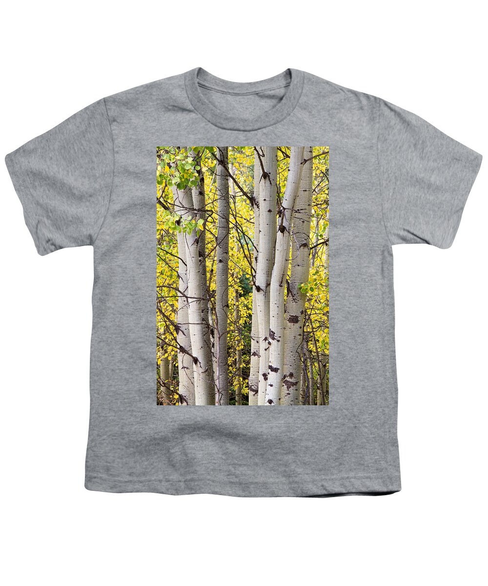 Aspen Youth T-Shirt featuring the photograph Aspen Trees in Autumn Color Portrait View by James BO Insogna