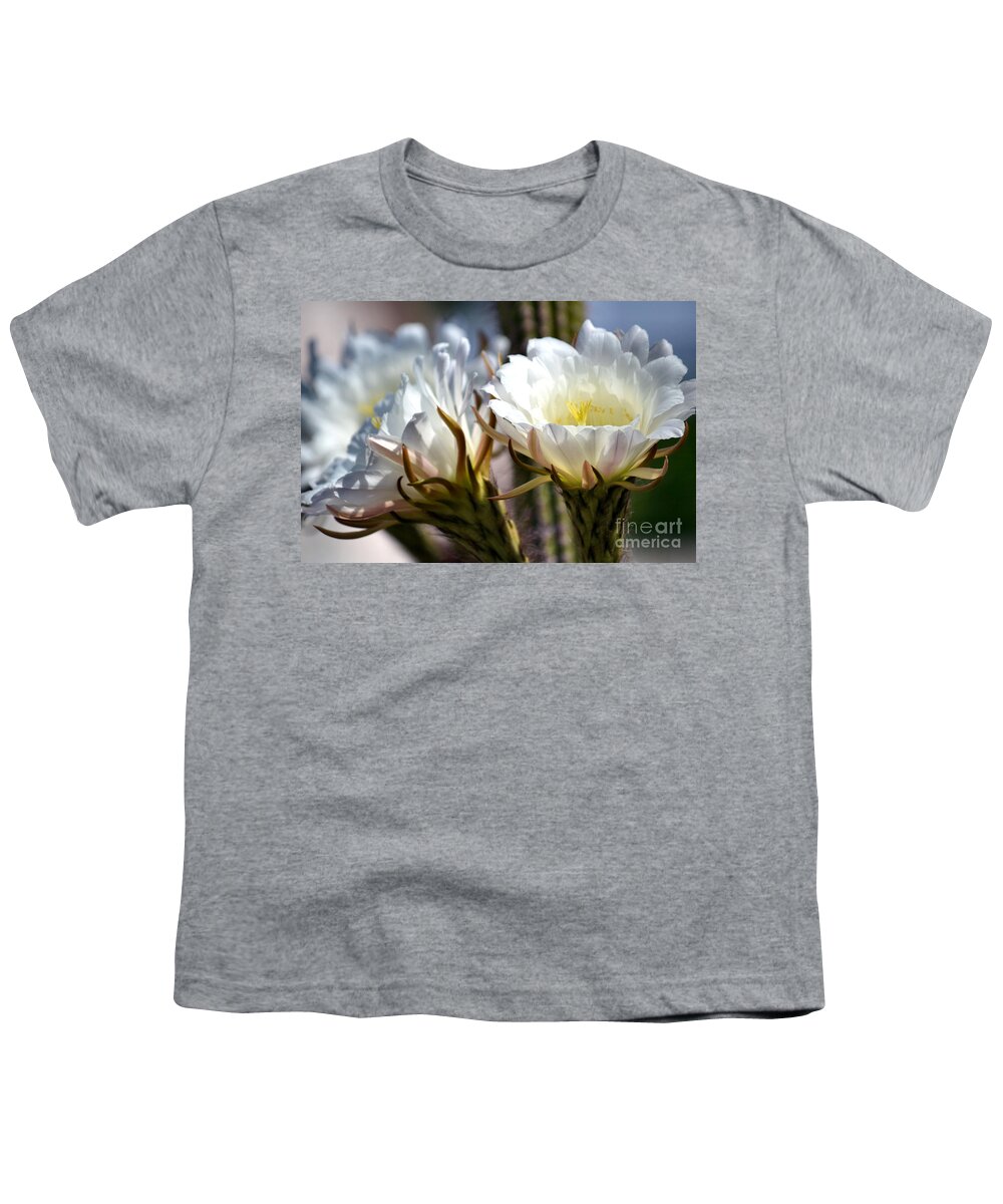 White Cactus Flower Youth T-Shirt featuring the photograph Blooming Cacti by Deb Halloran