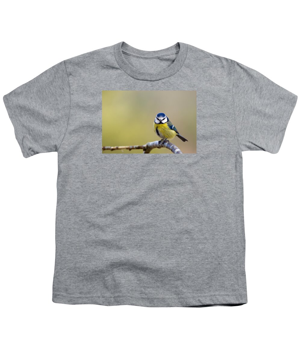 Blue Tit Youth T-Shirt featuring the photograph Blue Tit by Torbjorn Swenelius