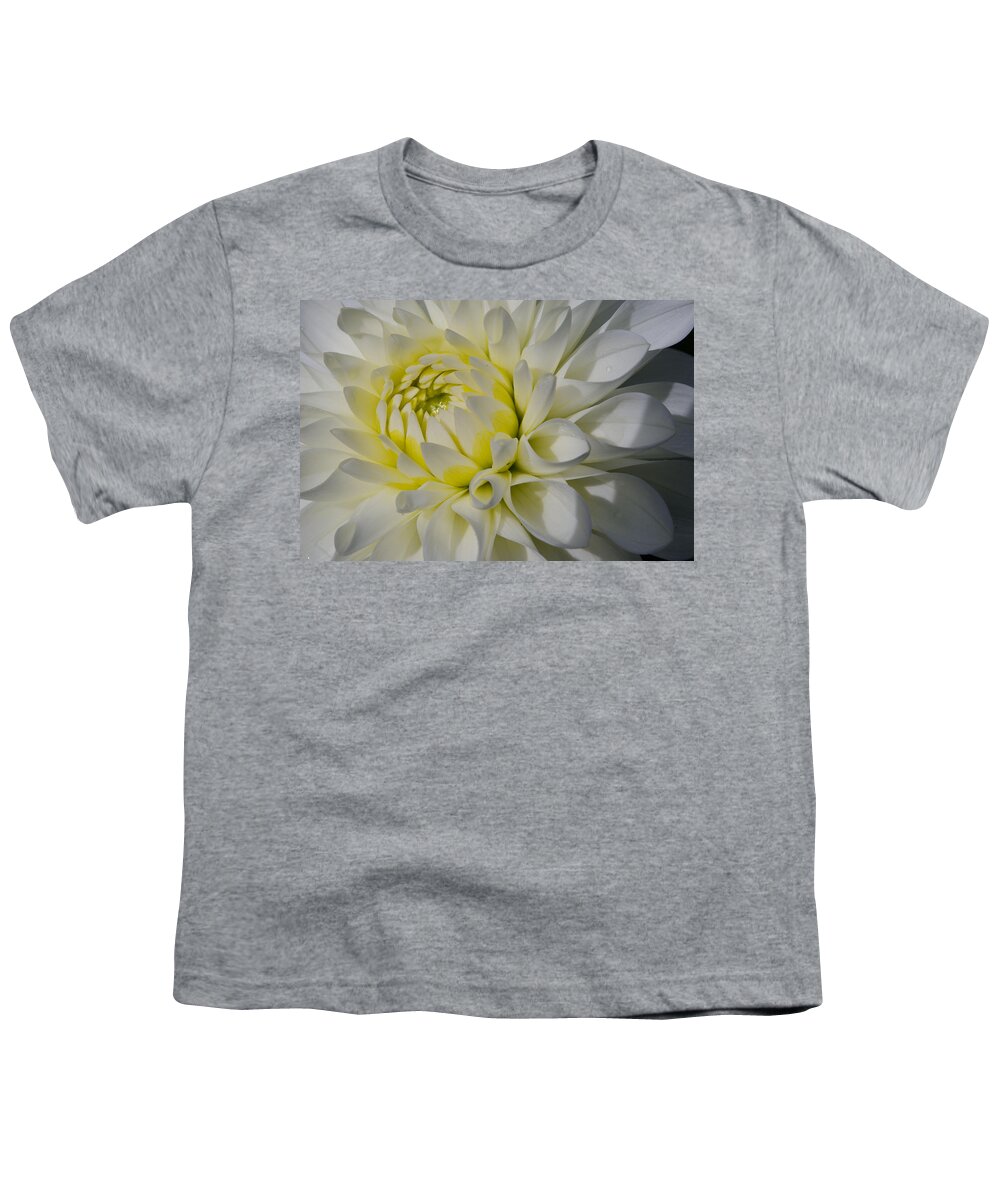 Dahlia Youth T-Shirt featuring the photograph Dahlia Glow by Kathy Paynter