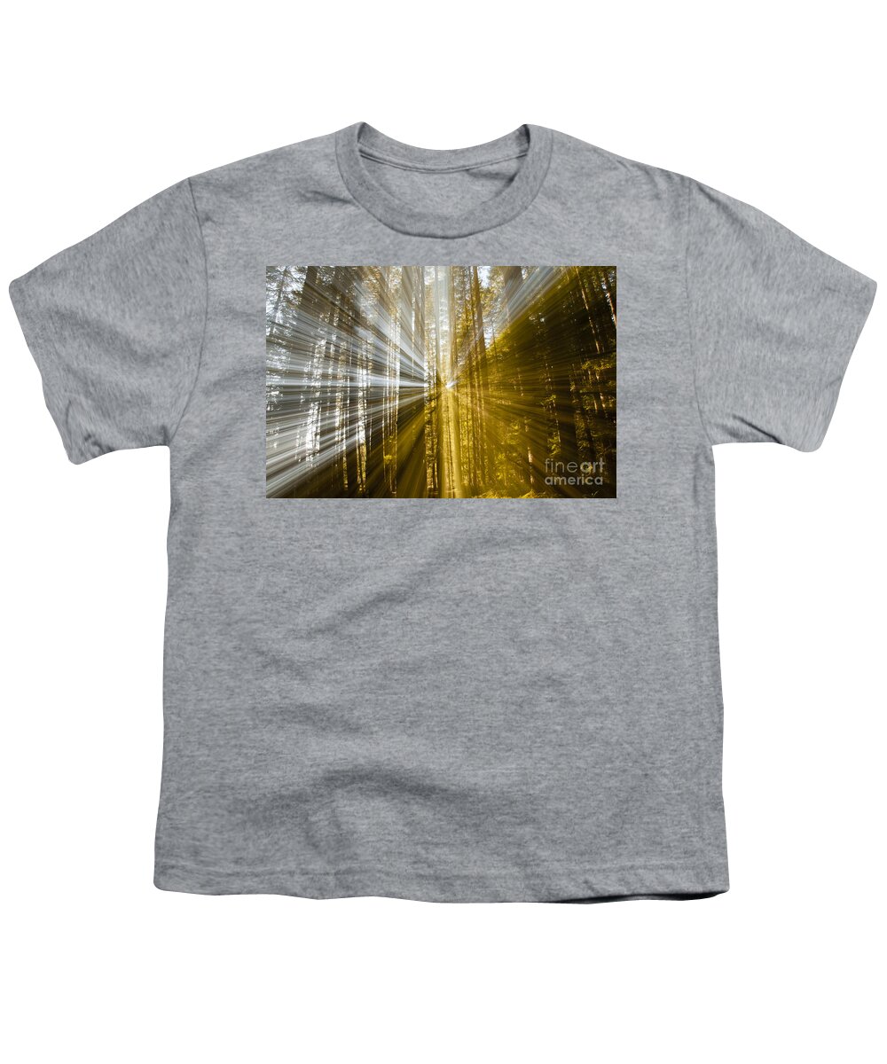 Forest Youth T-Shirt featuring the photograph Forest Abstract by Vivian Christopher