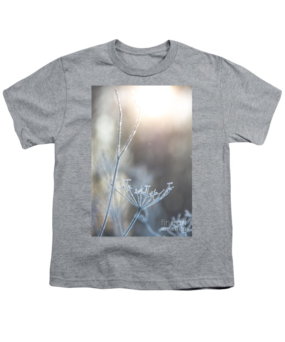Queen Anne's Lace Youth T-Shirt featuring the photograph Frosty Queen Anne's Lace by Cheryl Baxter