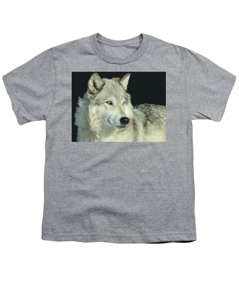 Gray Wolf Youth T-Shirt featuring the photograph Golden Eye by Adam Jewell