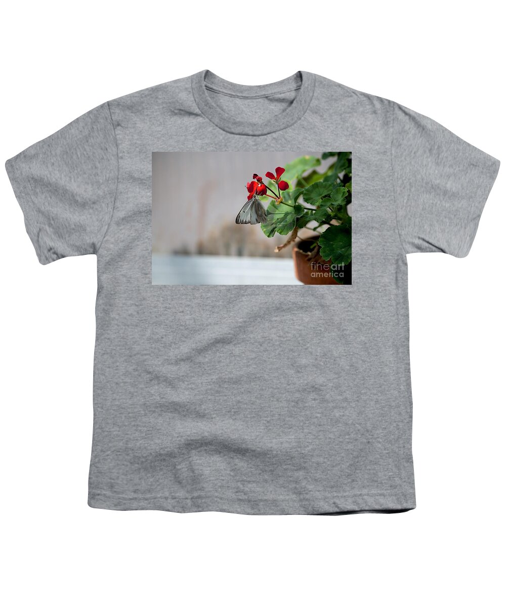 Butterflies Youth T-Shirt featuring the photograph Grey by Joseph Yarbrough