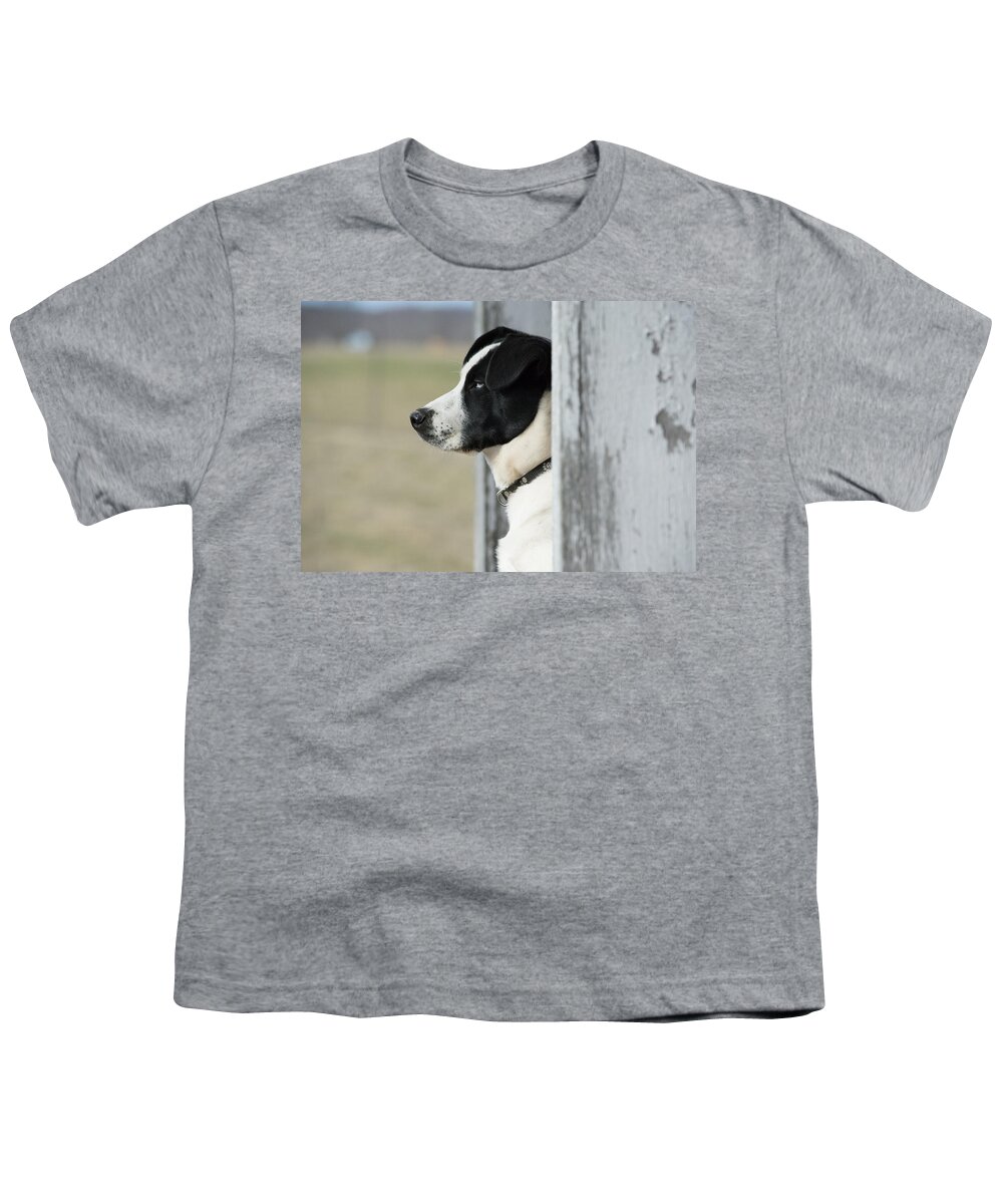 Pet Youth T-Shirt featuring the photograph Guard Dog by Holden The Moment