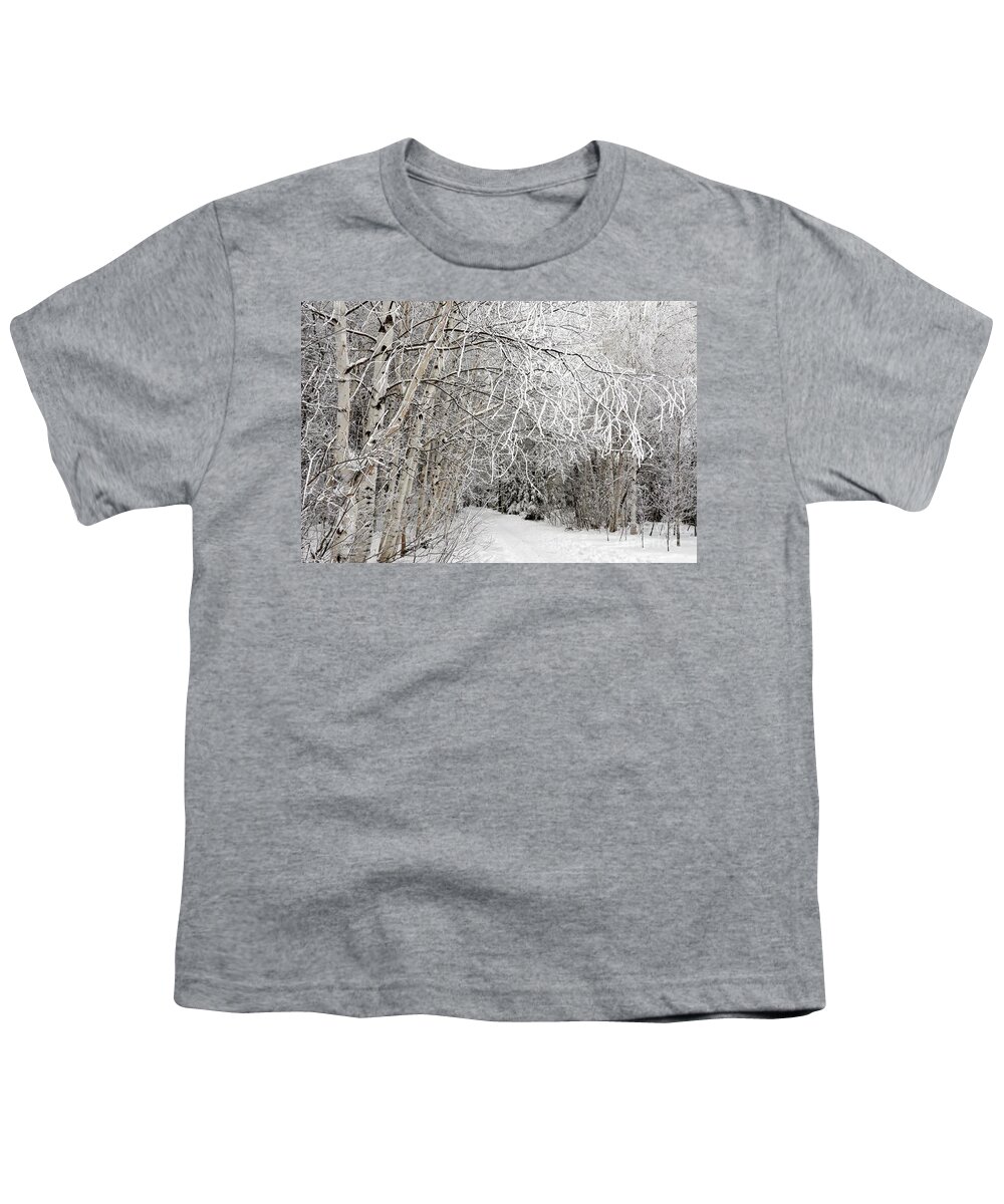 Snowy Path Youth T-Shirt featuring the photograph Hersey Lake winter path 2 by Elaine Berger