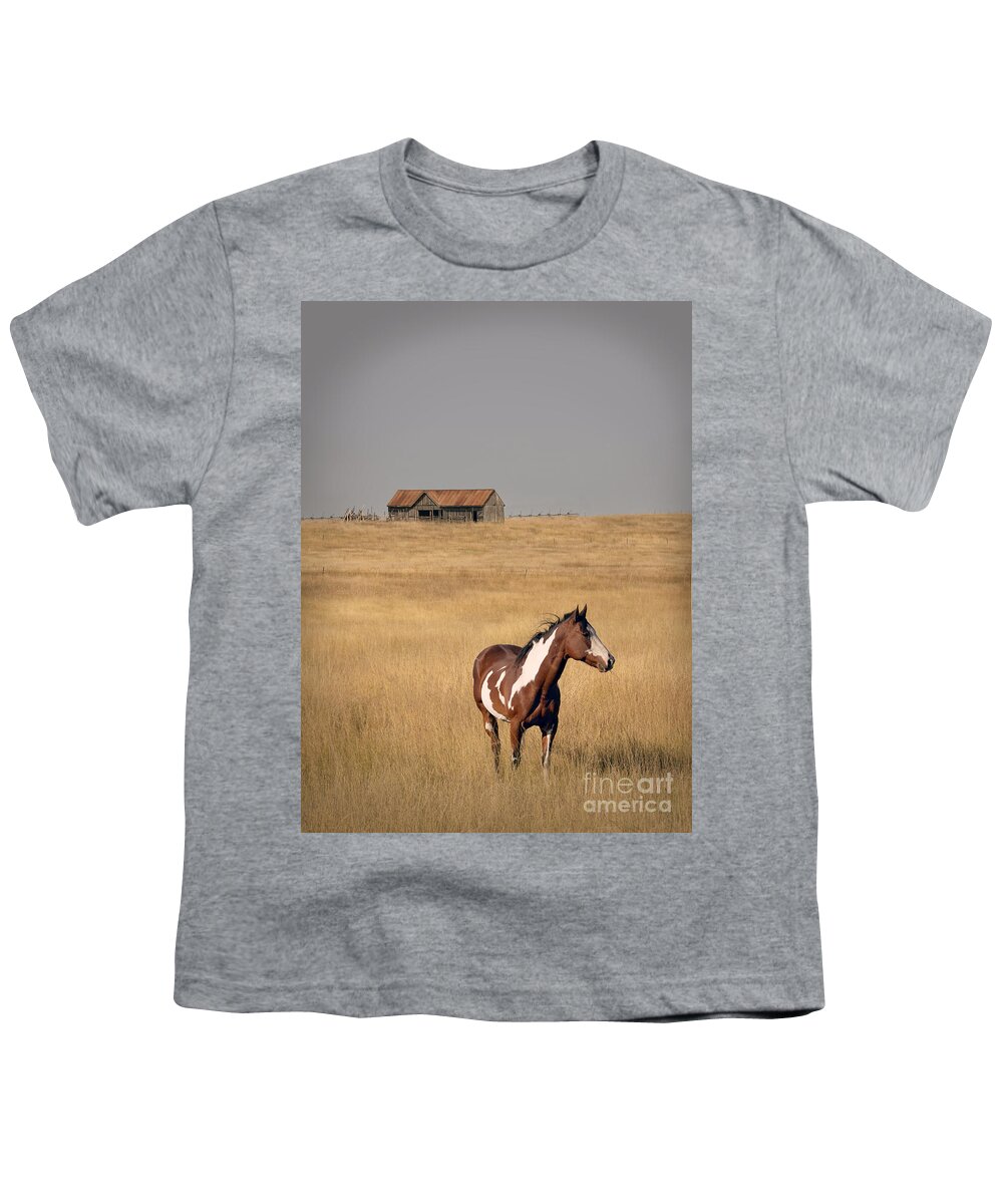 Horse Youth T-Shirt featuring the photograph Horse and Barn by Jill Battaglia