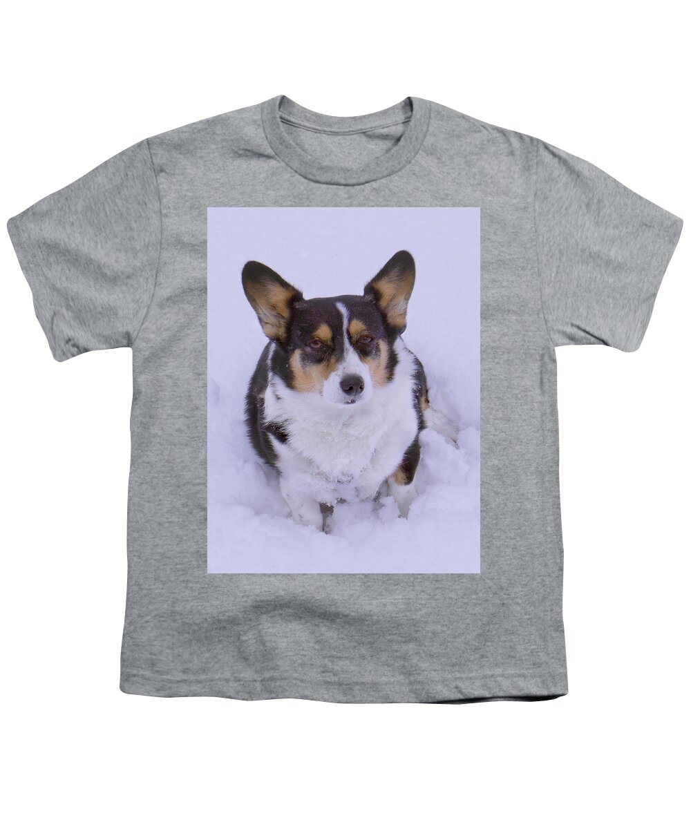 Corgi Youth T-Shirt featuring the photograph I Do Not Like Snow by Mike McGlothlen
