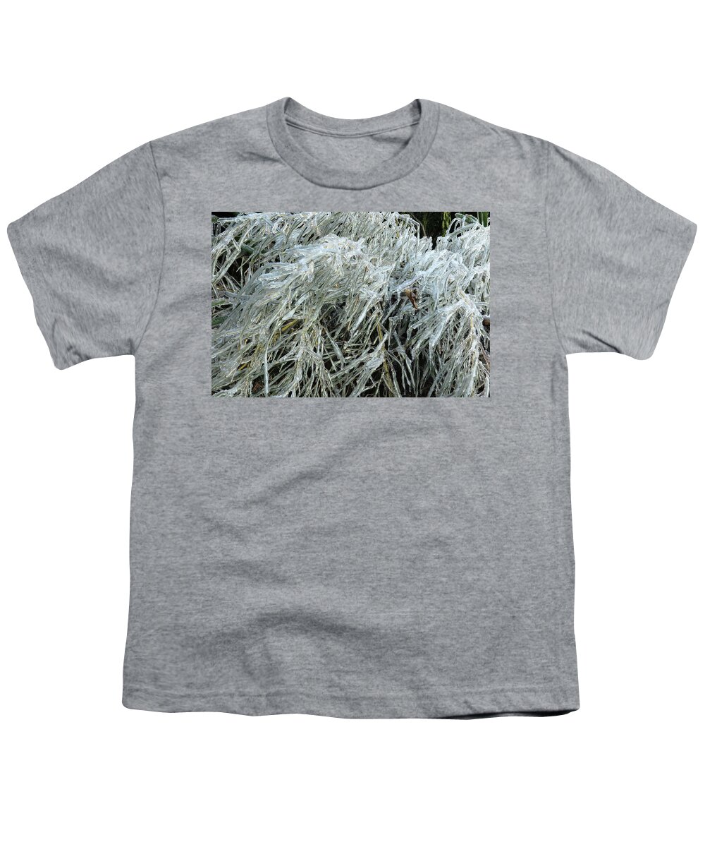 Ice Youth T-Shirt featuring the photograph Ice On Bamboo Leaves by Daniel Reed