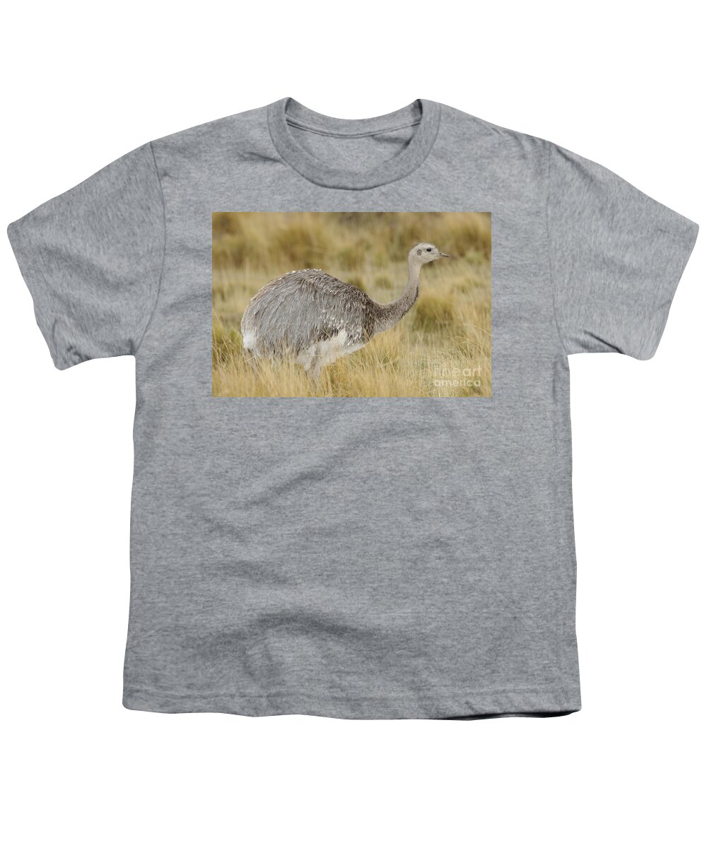 Chilean Fauna Youth T-Shirt featuring the photograph Lesser Rhea by John Shaw