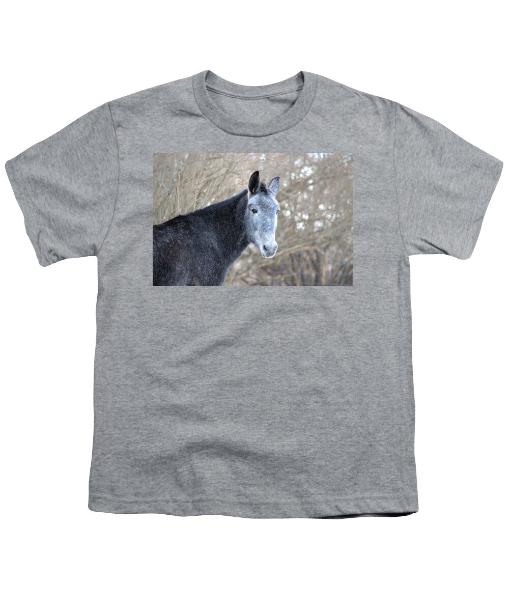 Mule Youth T-Shirt featuring the photograph Old Gray by Bonfire Photography