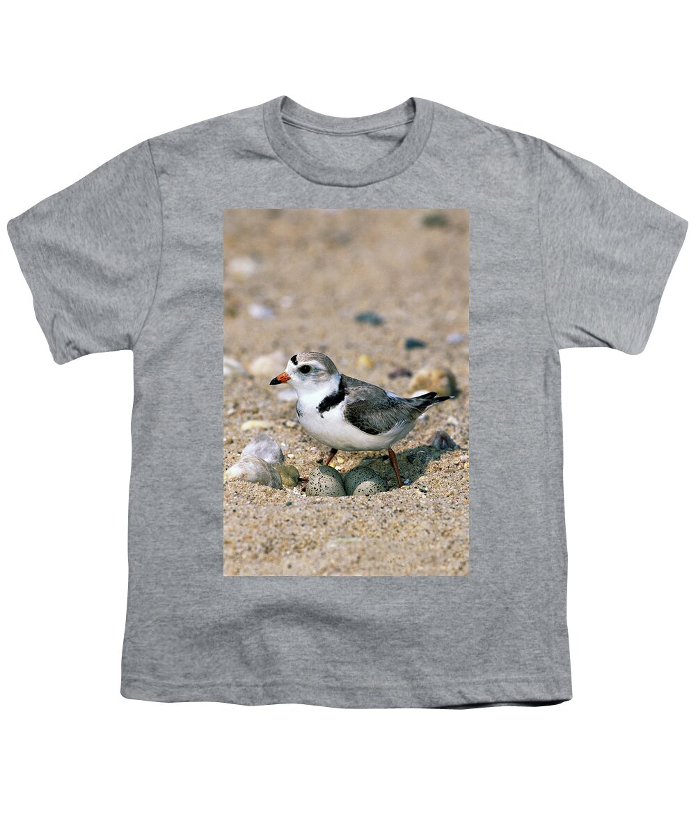 00220028 Youth T-Shirt featuring the photograph Piping Plover Sitting on Eggs by Tom Vezo