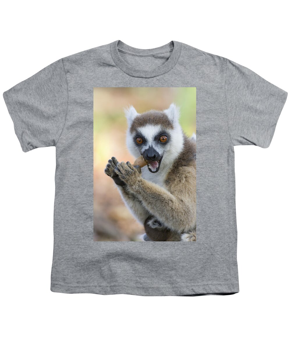Feb0514 Youth T-Shirt featuring the photograph Ring-tailed Lemur Cracking Seed Pod by Suzi Eszterhas
