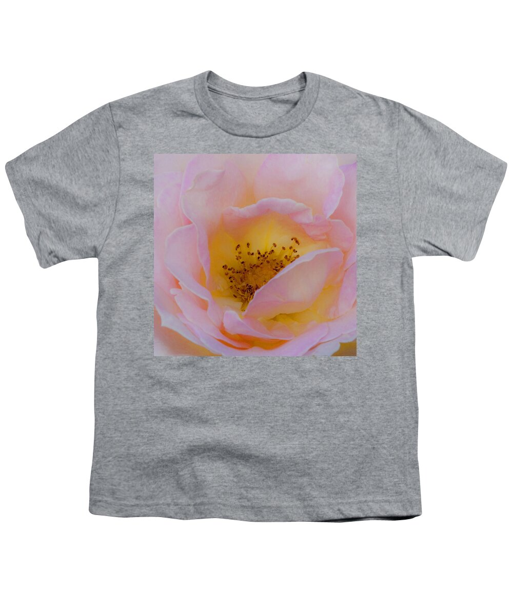 Shabby Chic Youth T-Shirt featuring the photograph Softly Rose by Theresa Tahara