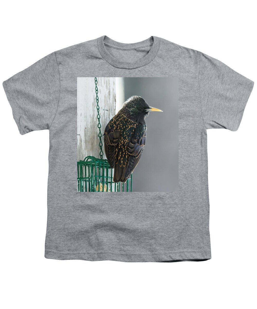 Starling Youth T-Shirt featuring the photograph Starling by Holden The Moment