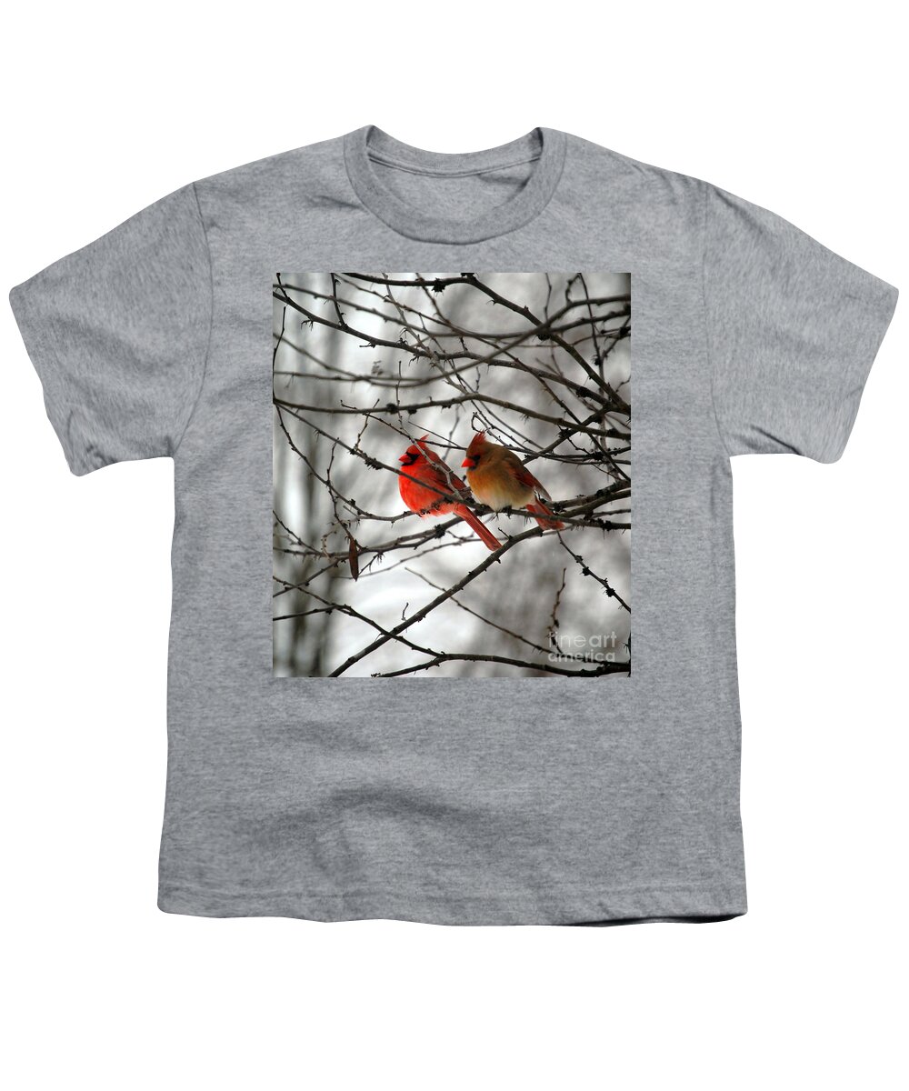 Cardinals Youth T-Shirt featuring the photograph True Love Cardinal by Peggy Franz