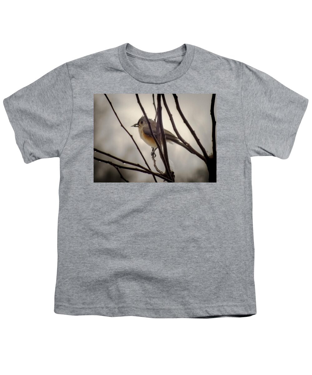 Tufted Titmouse Youth T-Shirt featuring the photograph Tufted Titmouse by Karen Wiles