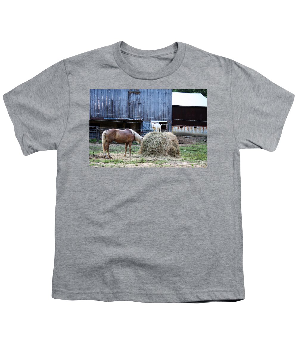 Goat Youth T-Shirt featuring the photograph What You Looking At by La Dolce Vita