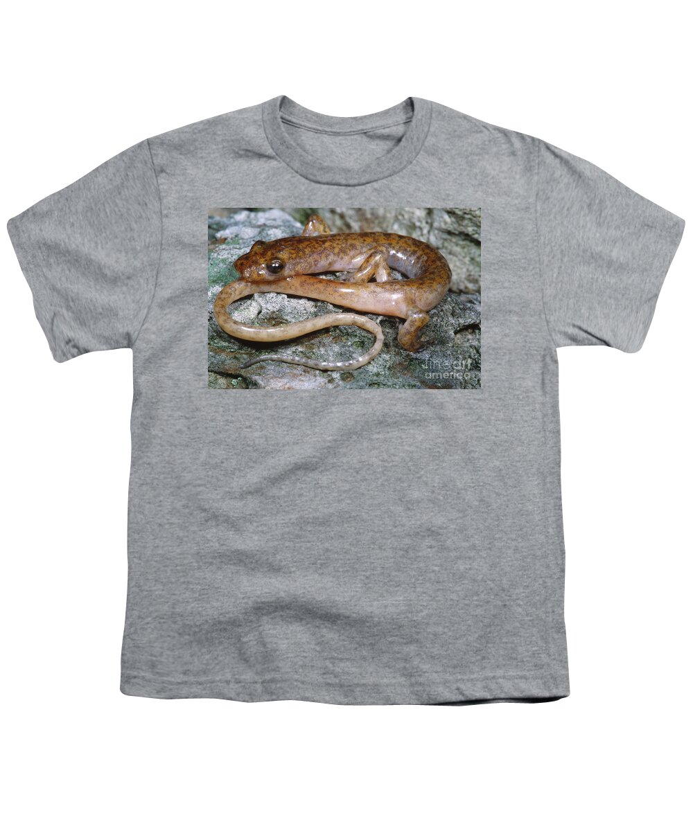 Cave Salamander Youth T-Shirt featuring the photograph Cave Salamander #4 by Dante Fenolio
