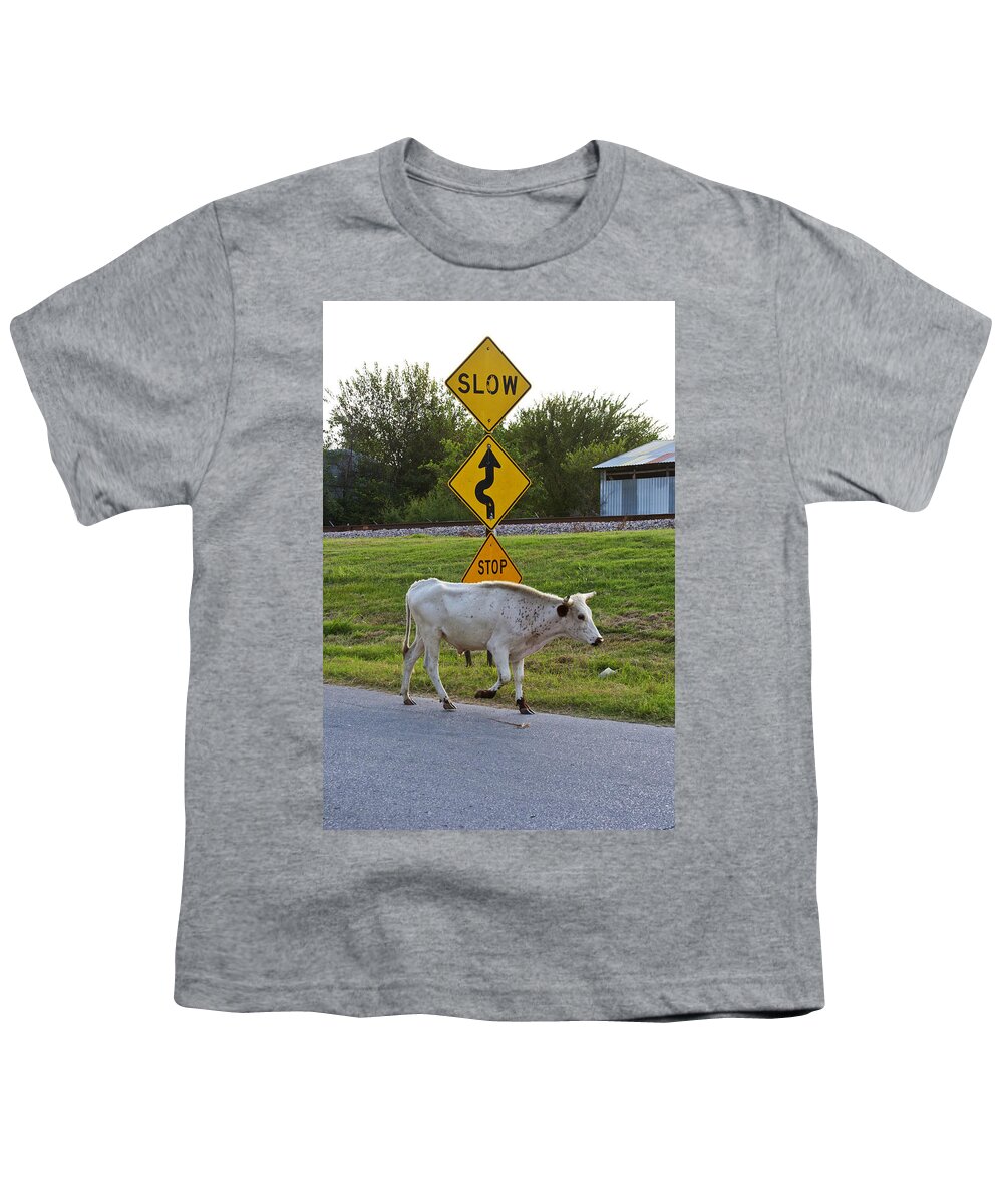 Cattle Youth T-Shirt featuring the photograph Mooving along by Toni Hopper