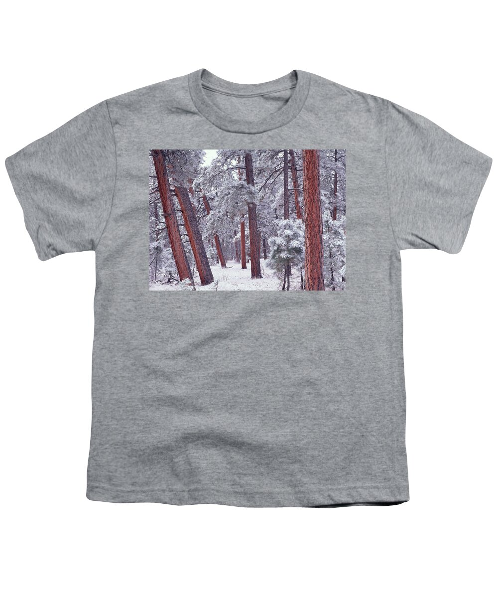00172992 Youth T-Shirt featuring the photograph Ponderosa Pine Trees With Snow Grand by Tim Fitzharris