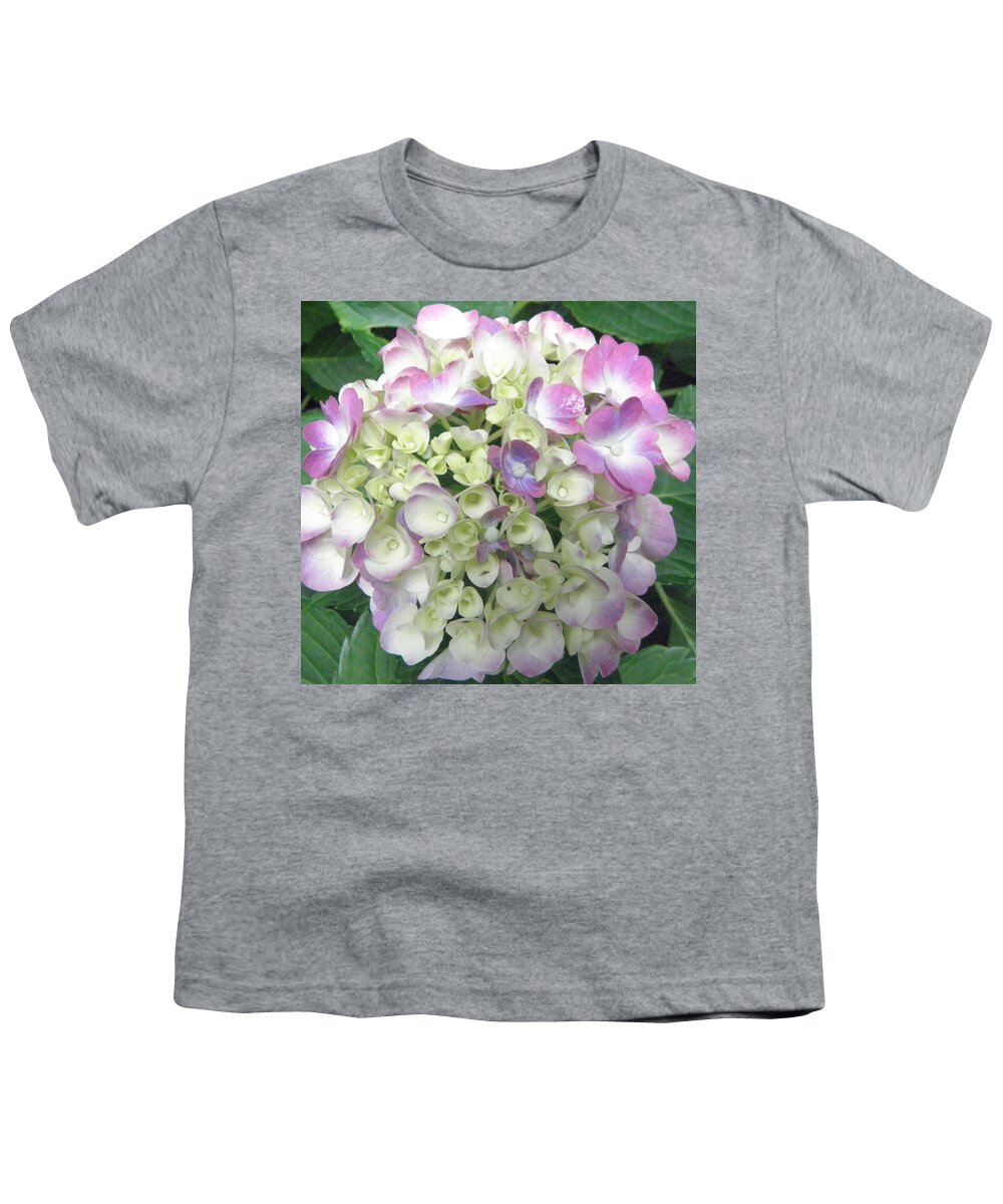 Hydrangea Youth T-Shirt featuring the photograph Pretty Pastels by Kim Galluzzo Wozniak