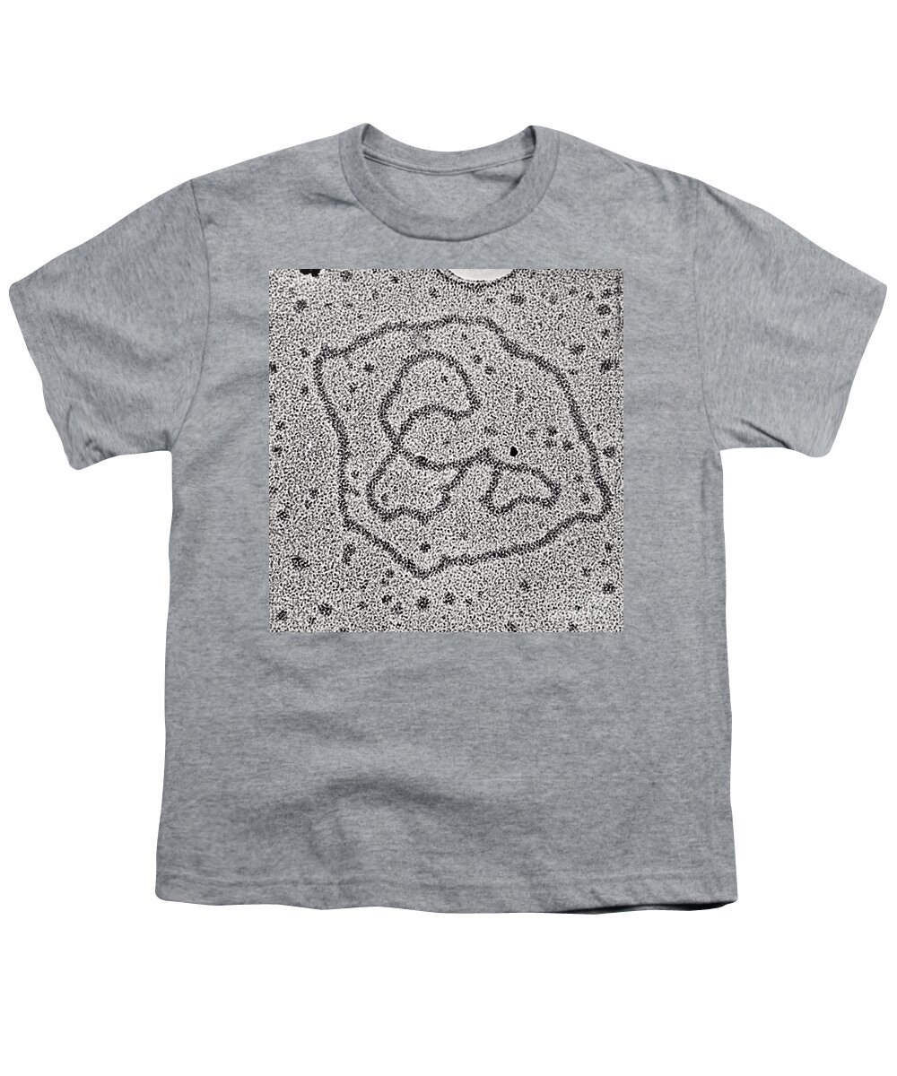 Transmission Electron Micrograph Youth T-Shirt featuring the photograph Viral Dna Rings by Photo Researchers, Inc.