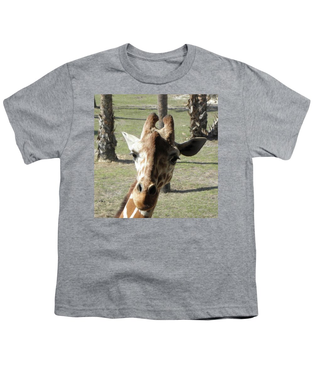 Giraffe Youth T-Shirt featuring the photograph What Are You Looking At by Kim Galluzzo Wozniak