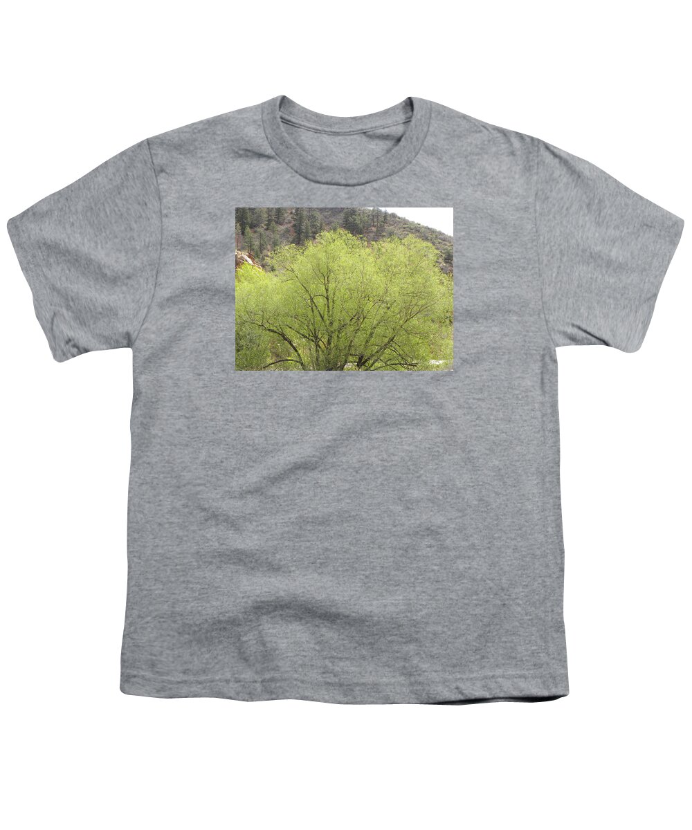 Big Youth T-Shirt featuring the photograph Tree Ute Pass Hwy 24 COS CO by Margarethe Binkley