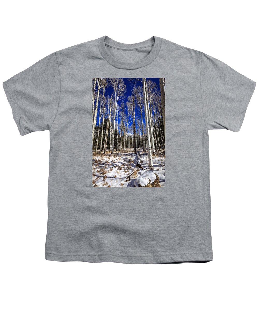 America Youth T-Shirt featuring the photograph Aspen forest #2 by Alexey Stiop