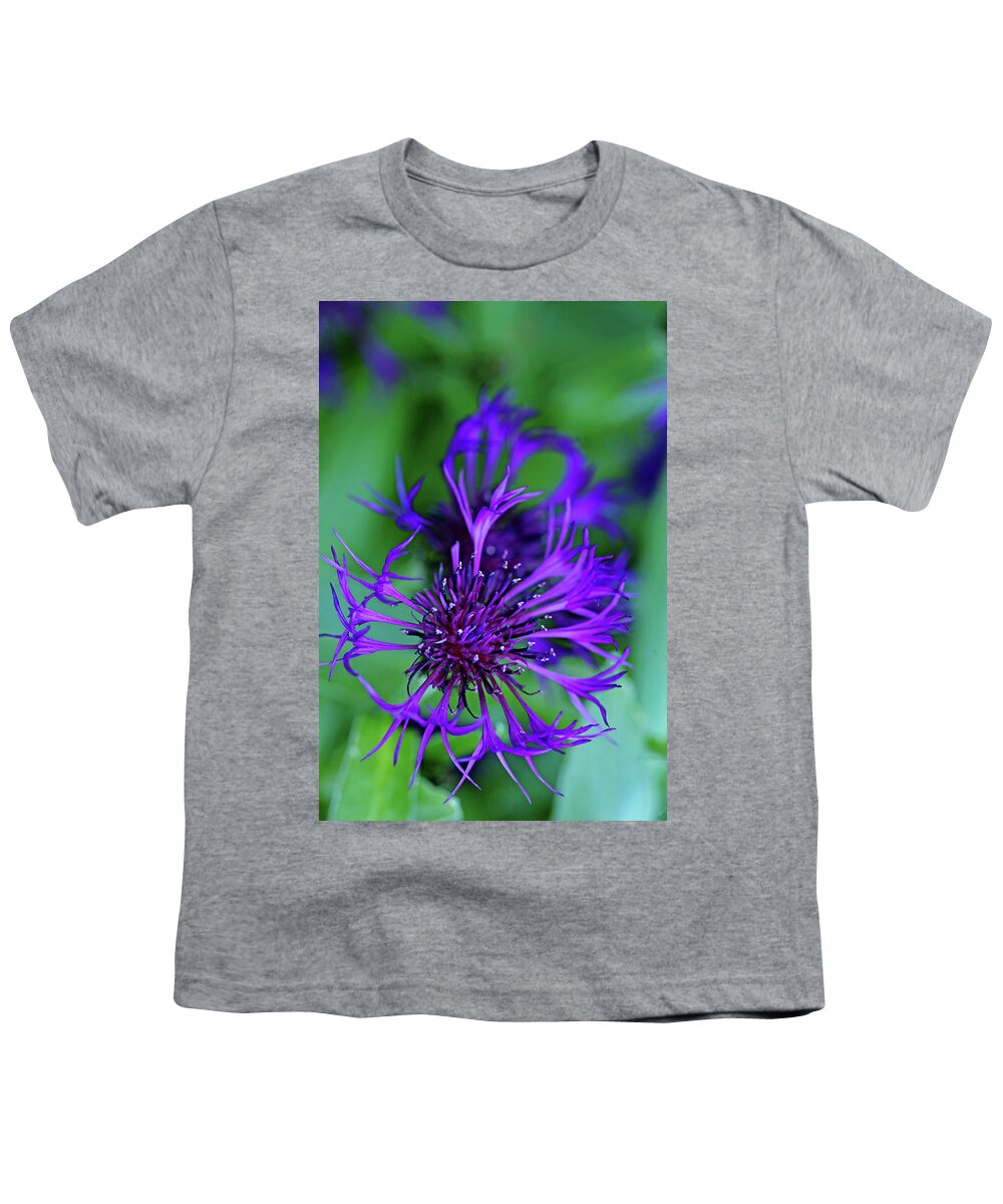 Cornflower Youth T-Shirt featuring the photograph Bachelor's Button #2 by Debbie Oppermann