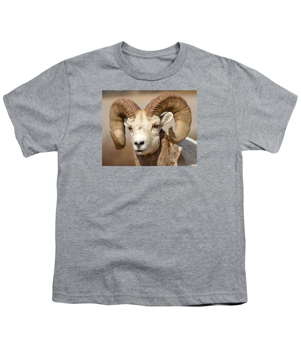 Bighorn Youth T-Shirt featuring the photograph Bighorn by Jack Bell