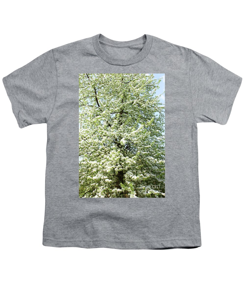 Flower Youth T-Shirt featuring the photograph Cherry tree in blossom #2 by Irina Afonskaya