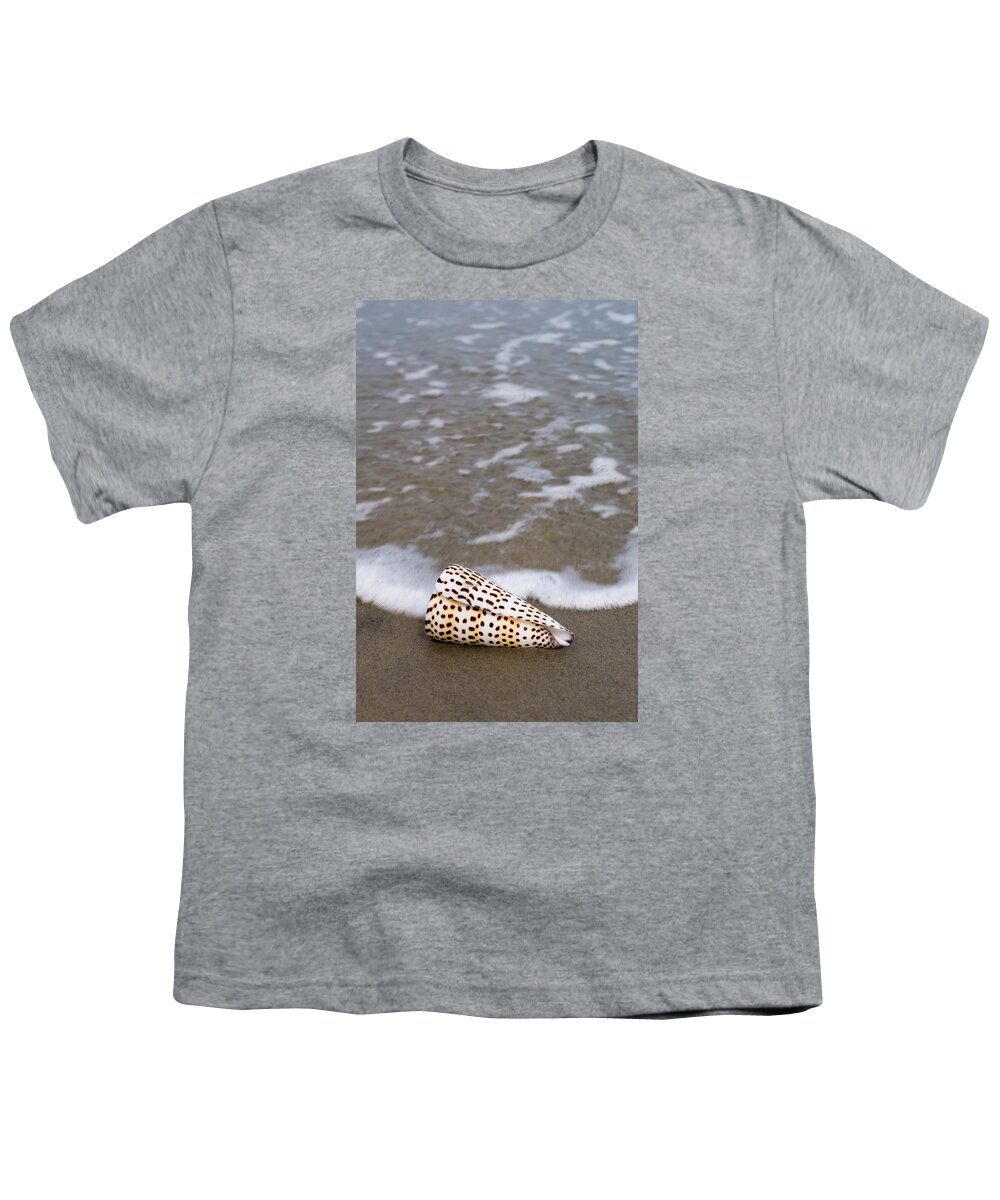 Shell Seashell Beach Ocean Bay Youth T-Shirt featuring the photograph Cone seashell on the beach. #1 by Anthony Totah