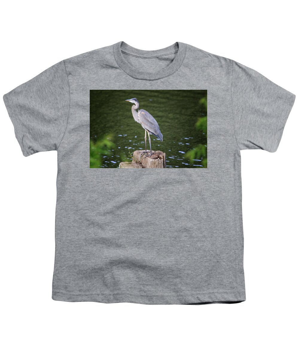 Port Dover Youth T-Shirt featuring the photograph Great Blue Heron #1 by Gary Hall
