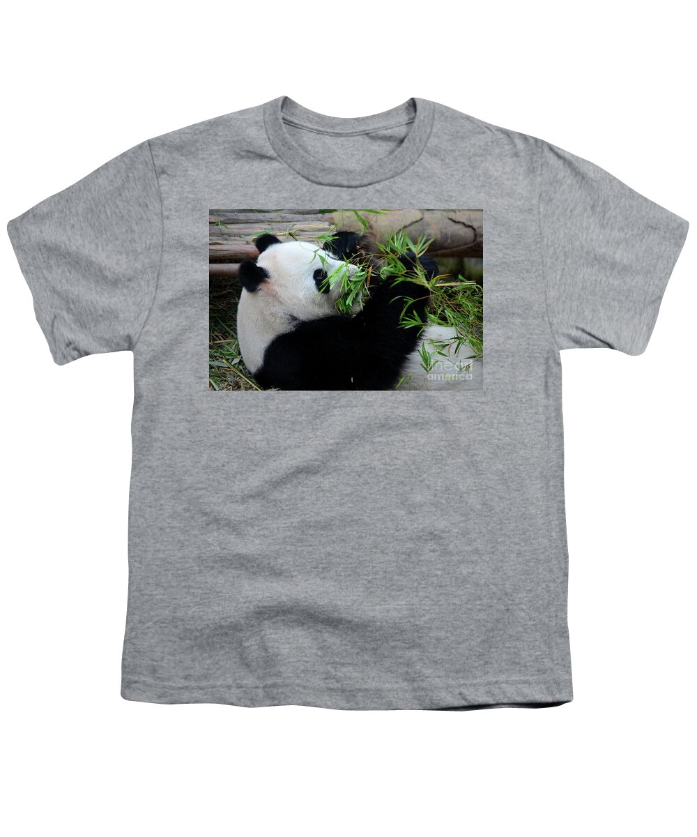 Panda Youth T-Shirt featuring the photograph Panda bear lies on back and eats green bamboo shoot plants #2 by Imran Ahmed