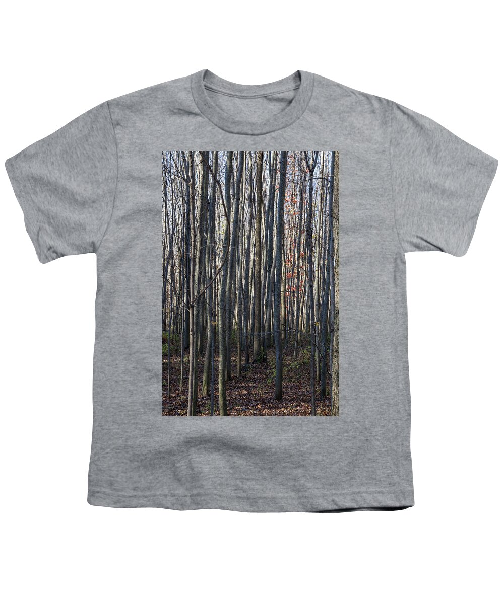 Treez Youth T-Shirt featuring the photograph Treez by Lon Dittrick
