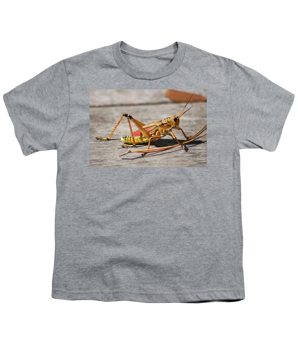 Lubber Grasshopper Youth T-Shirt featuring the photograph 10- Lubber Grasshopper by Joseph Keane