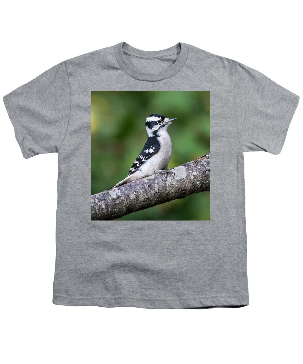  Downy Woodpecker Youth T-Shirt featuring the photograph Female Downy Woodpecker #2 by Diane Giurco