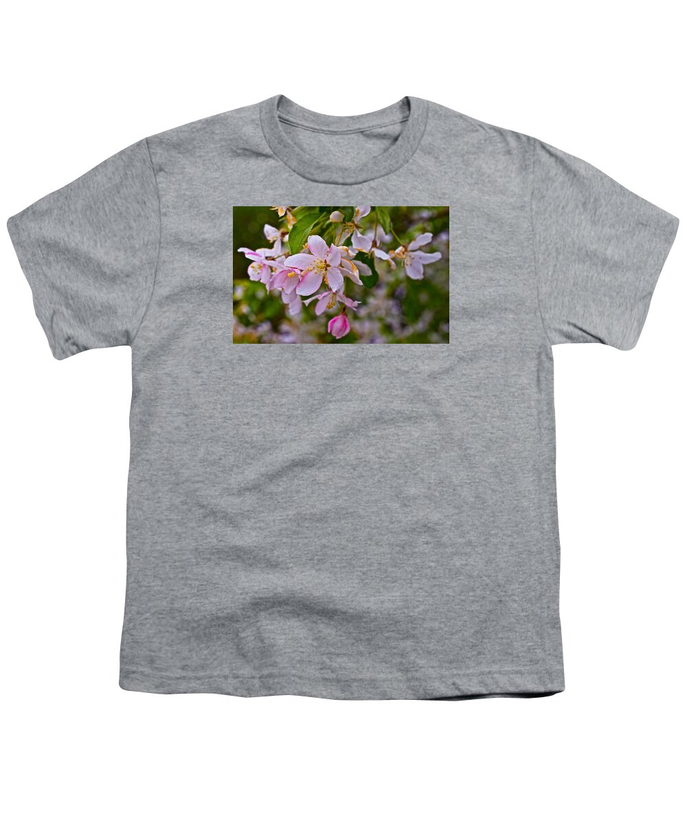 Crabapple Blossoms Youth T-Shirt featuring the photograph 2015 Spring at the Gardens White Crabapple Blossoms 1 by Janis Senungetuk