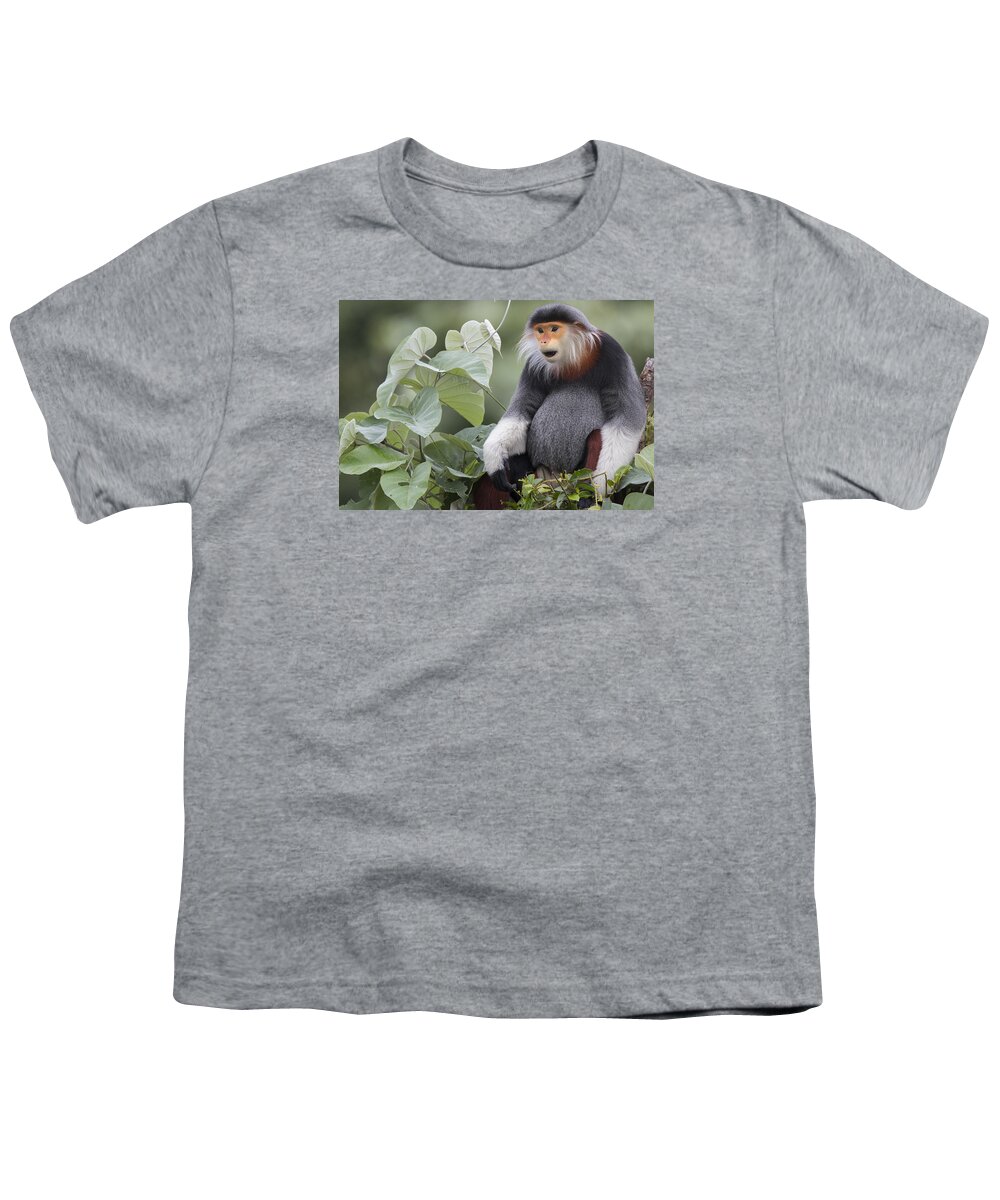 Cyril Ruoso Youth T-Shirt featuring the photograph Douc Langur Male Vietnam #3 by Cyril Ruoso